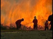 Quase 130 bombeiros combatem três fogos