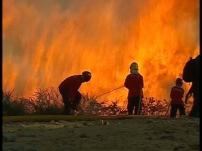 Quase 130 bombeiros combatem três fogos