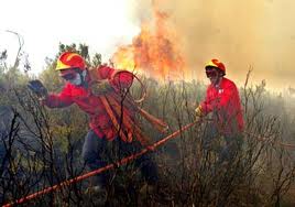 Incêndio em S. Domingos de Rana