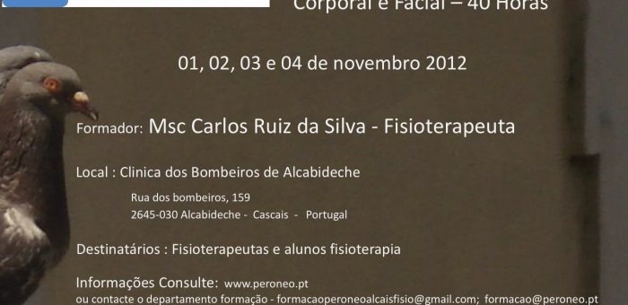 Curso de Capacitação em Fisioterapia Dermato Funcional Corporal e Facial