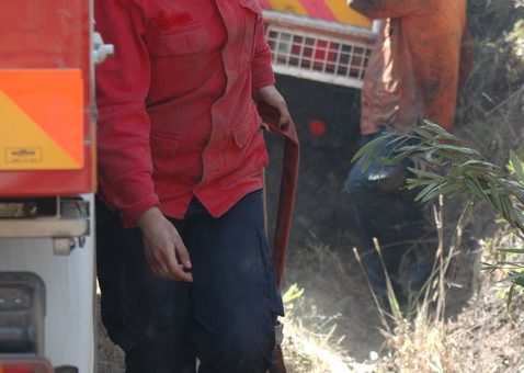 Confirmação de falecimento de Bombeiro Ana Rita Pereira
