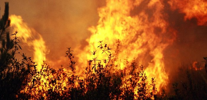 Perigo de Incêndio Rural