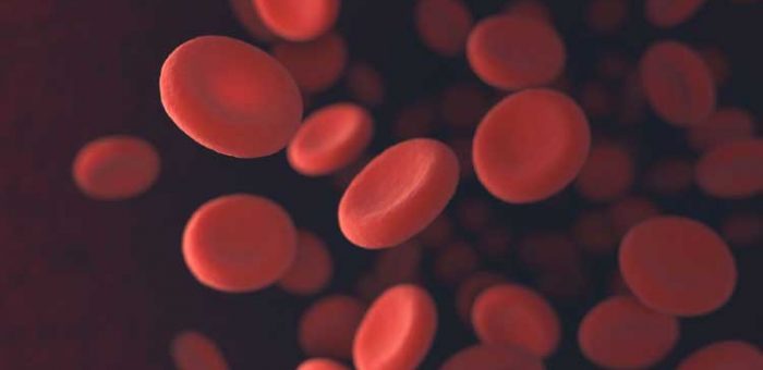 Anemia, o que é e quais os sintomas