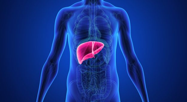 Tudo o que precisa saber sobre a hepatite A